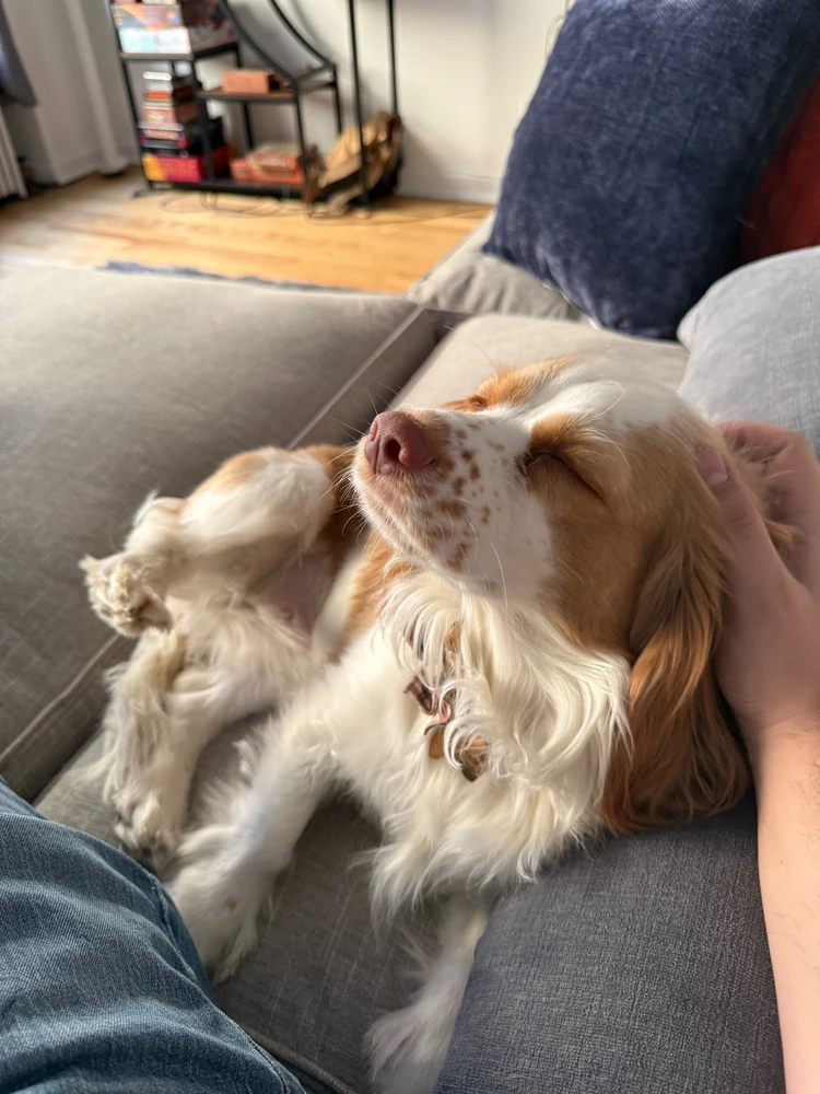 Image uploaded by Rob