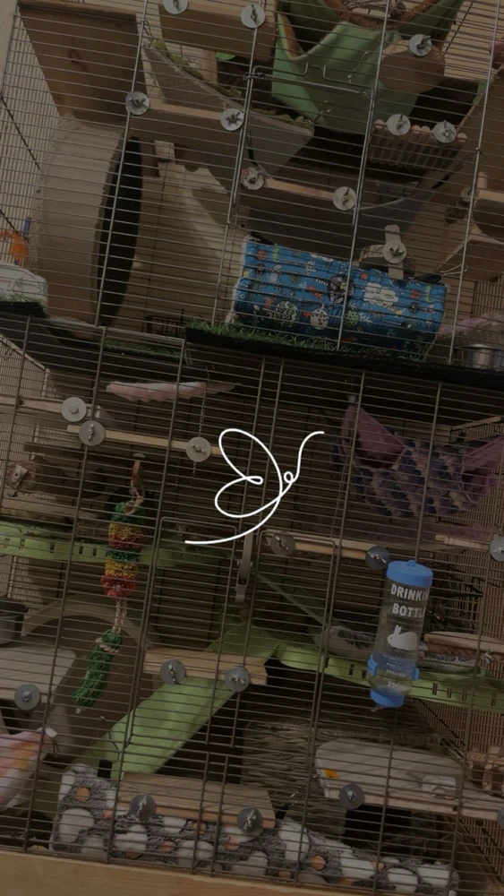 GIF загрузил Bella