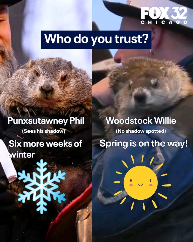 GIF uploaded by Twiggy