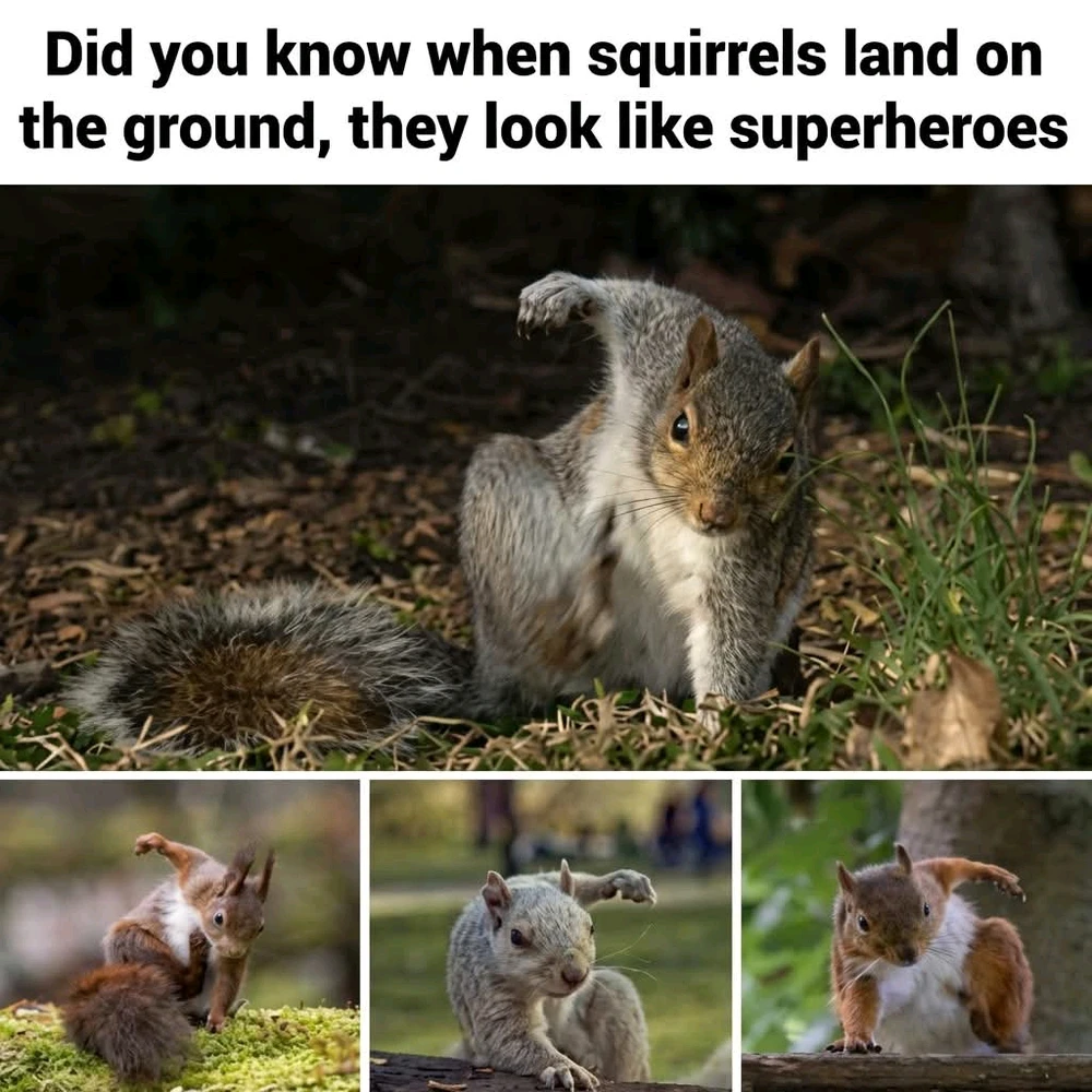 GIF uploaded by Georgina