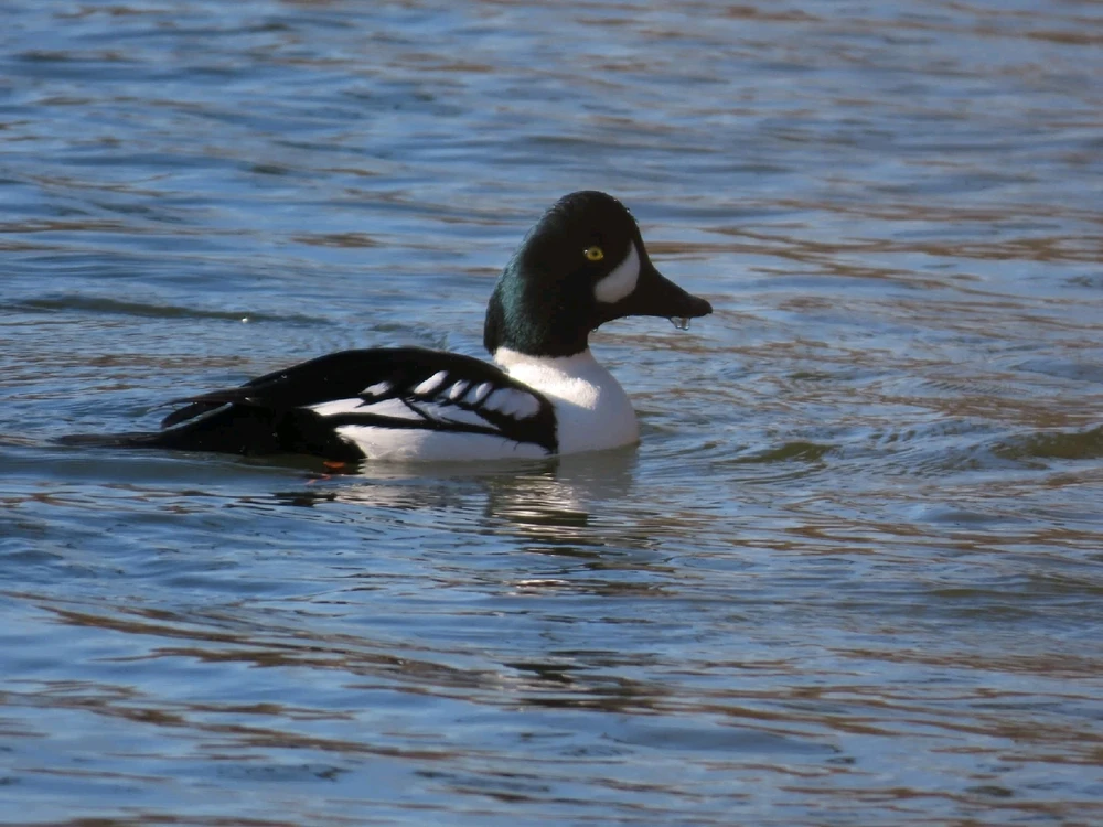 GIF uploaded by Danny