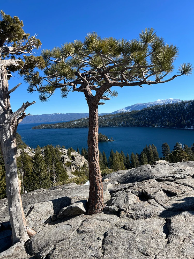 GIF uploaded by Ryan