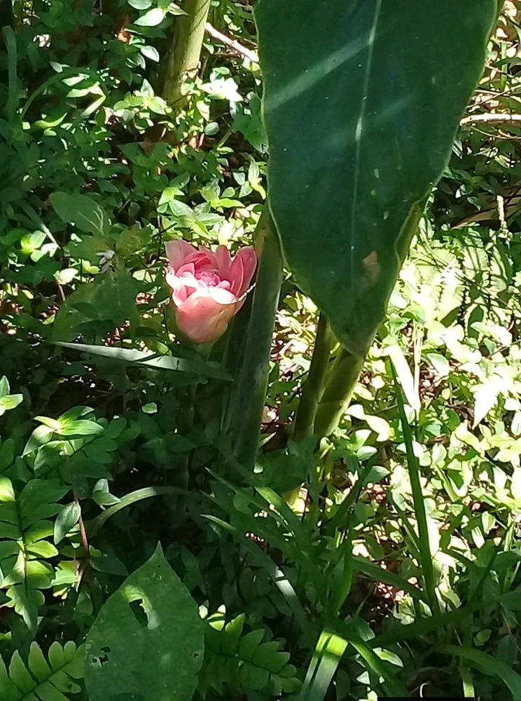 GIF subido por CESAR EMILIO