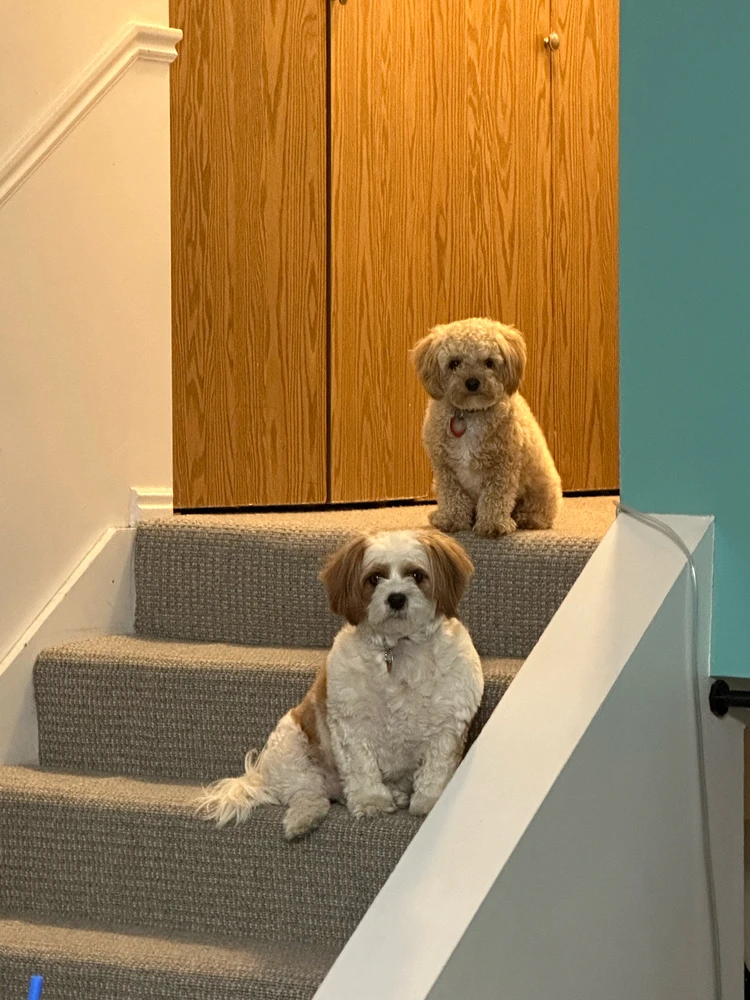 GIF uploaded by Evelyn