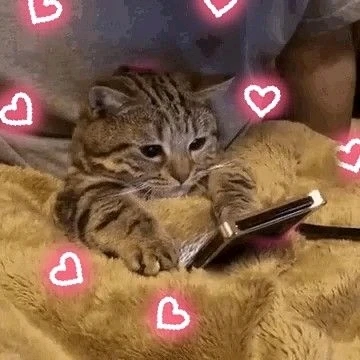 GIF uploaded by younes