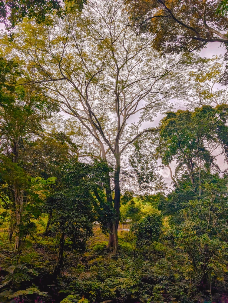GIF uploaded by Jammal
