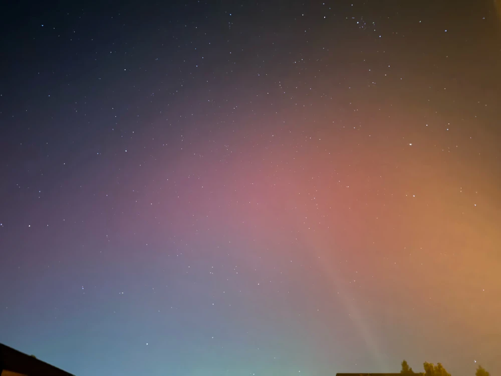 Image uploaded by Jonathan