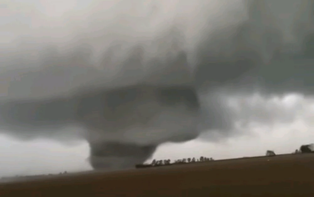 Image uploaded by Mike