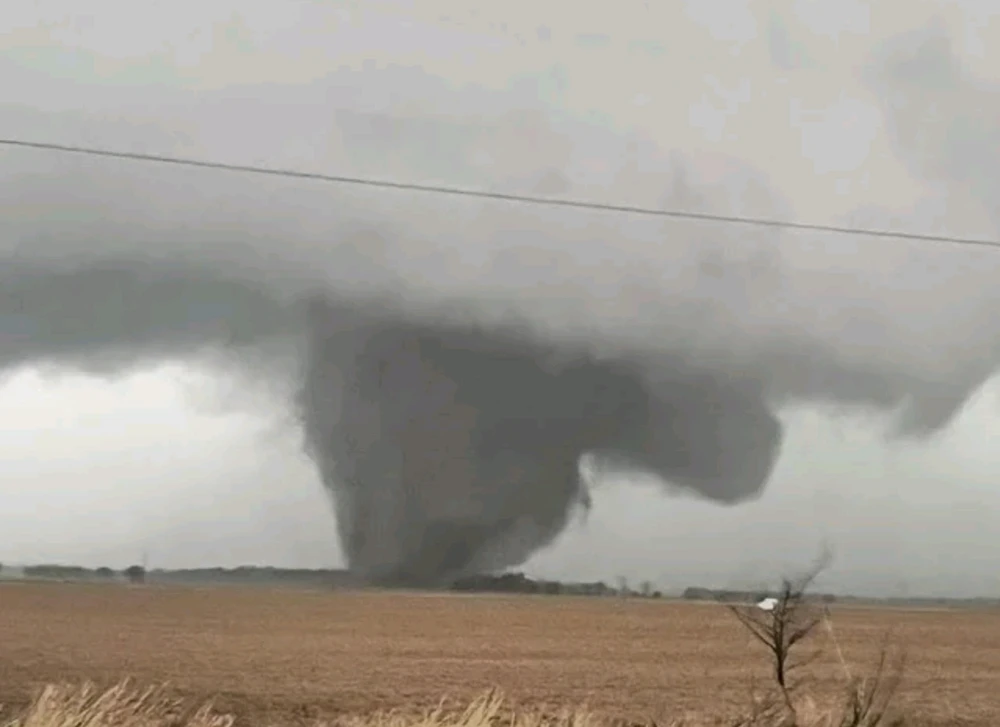 Image uploaded by Mike