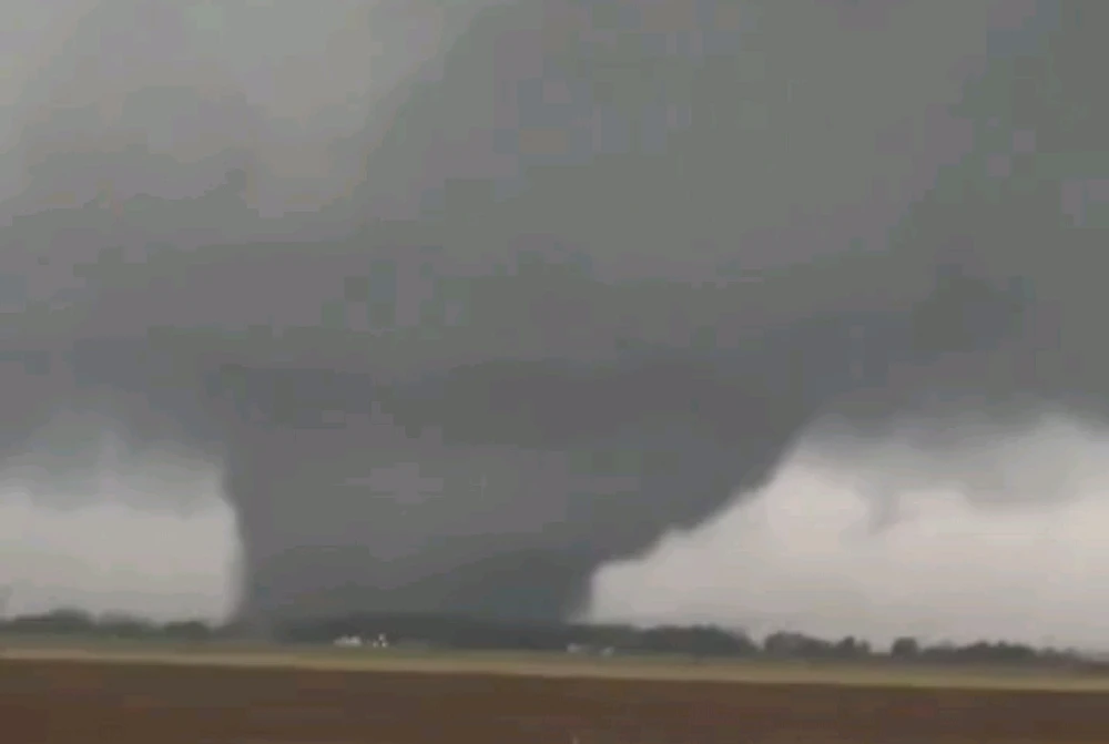 Image uploaded by Mike