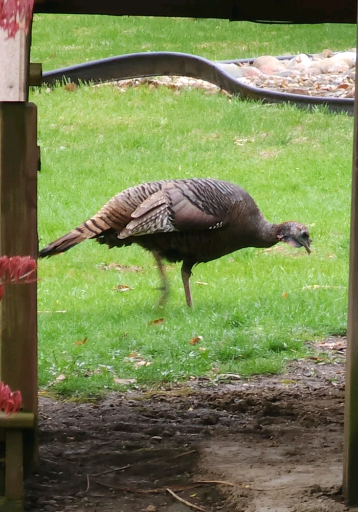 GIF uploaded by Mike