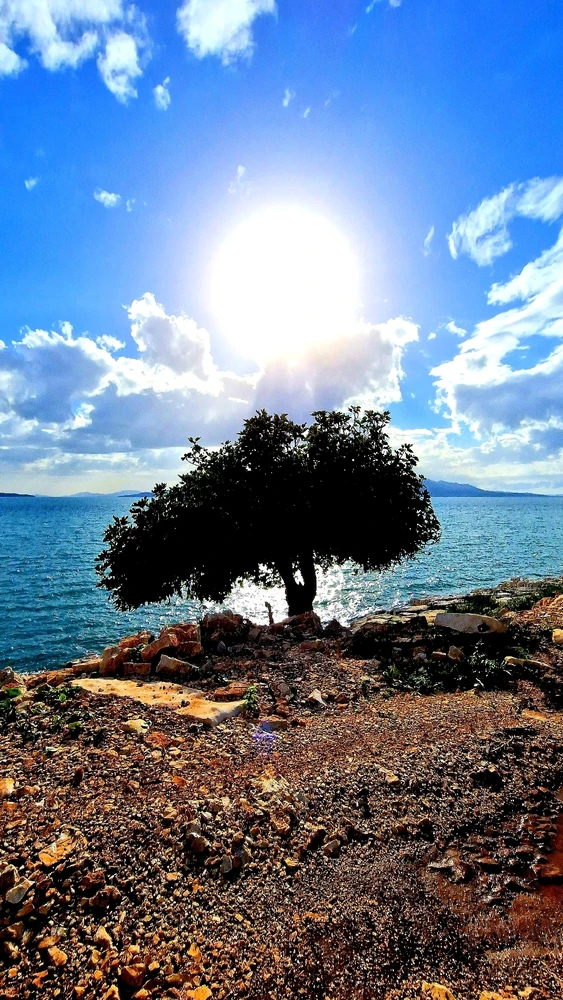 GIF dodany przez PITER