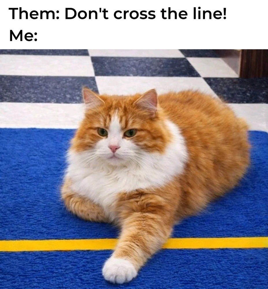 GIF uploaded by Solomon