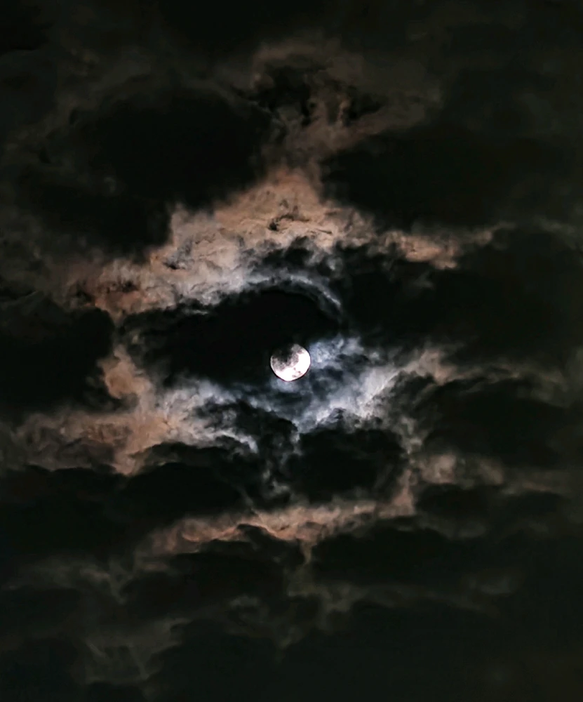 GIF diunggah dening Thebikedoc