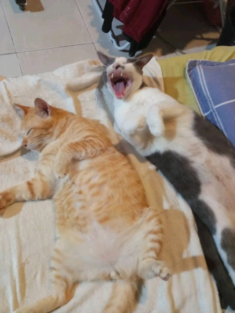 GIF uploaded by Alex