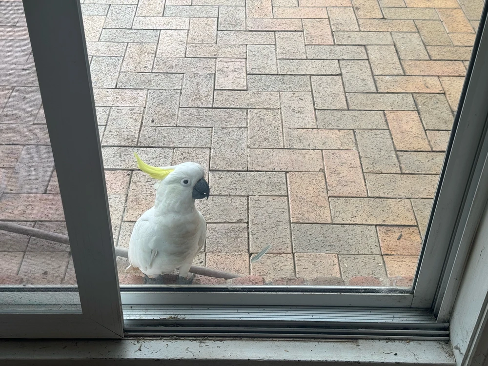 GIF uploaded by Nathan