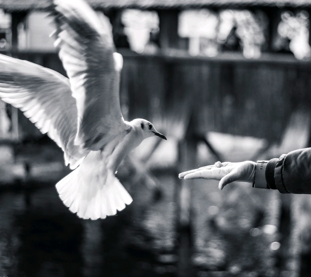 Bild hochgeladen von Laurence