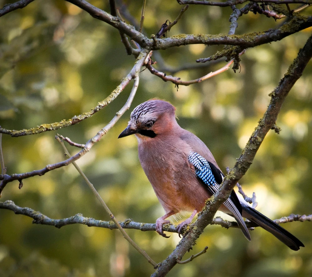 Bild hochgeladen von Laurence