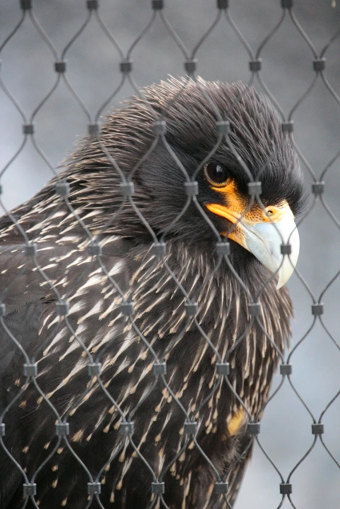 Bild hochgeladen von Laurence