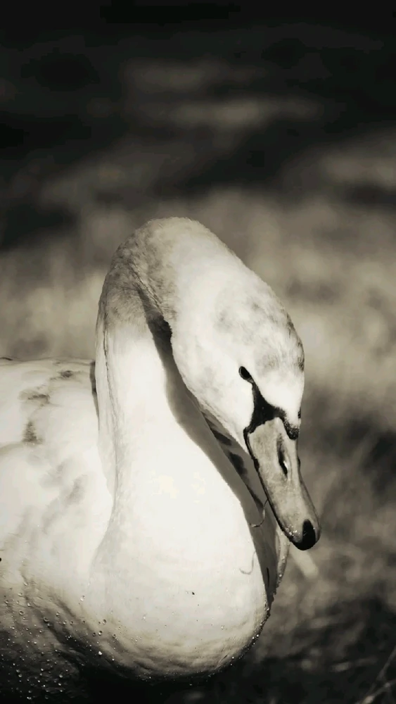 Bild hochgeladen von Laurence