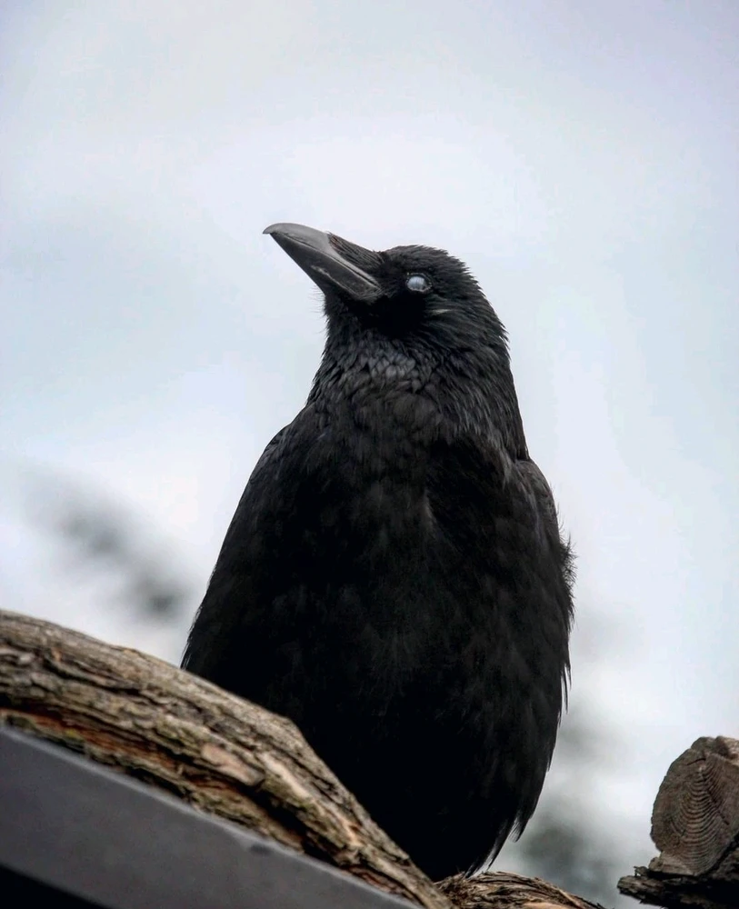 Bild hochgeladen von Laurence