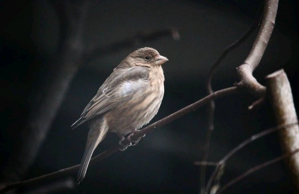 Bild hochgeladen von Laurence
