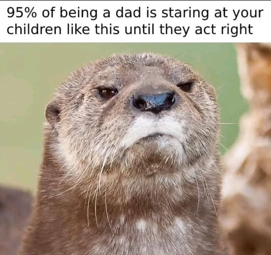 GIF uploaded by Rachel