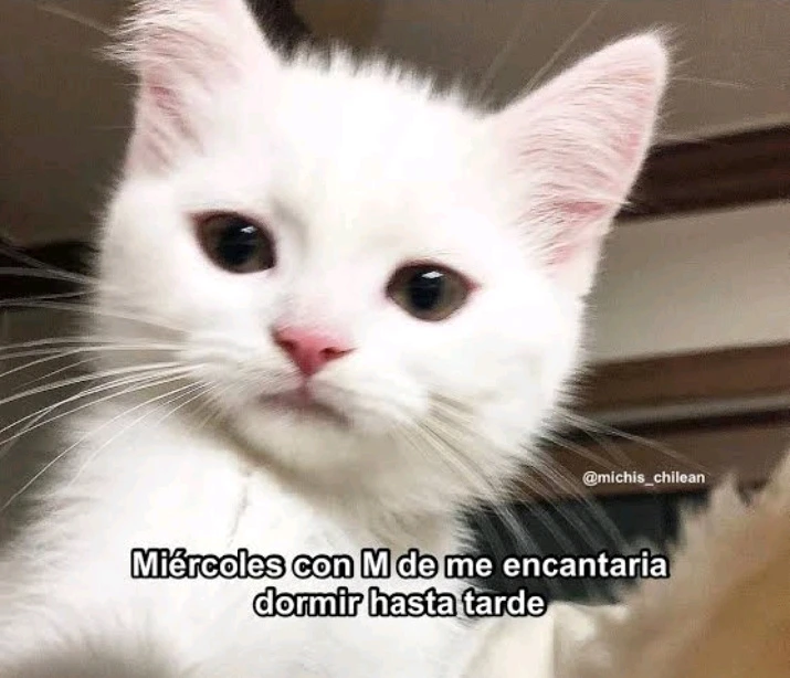GIF subido por Lu