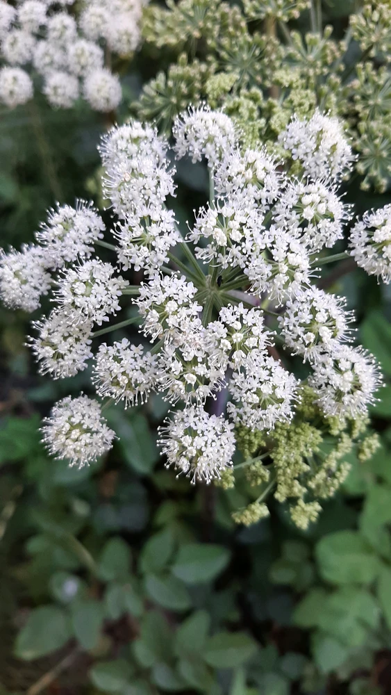 GIF uploaded by Etienne