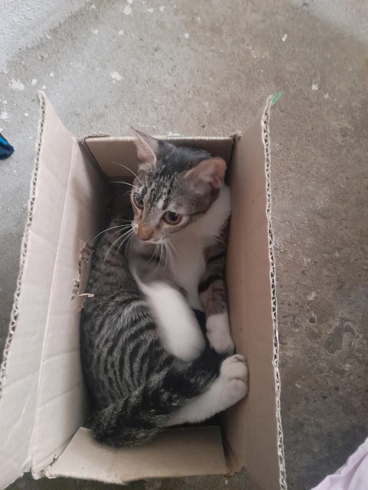 Imagen subida por Luisfer Ortiz