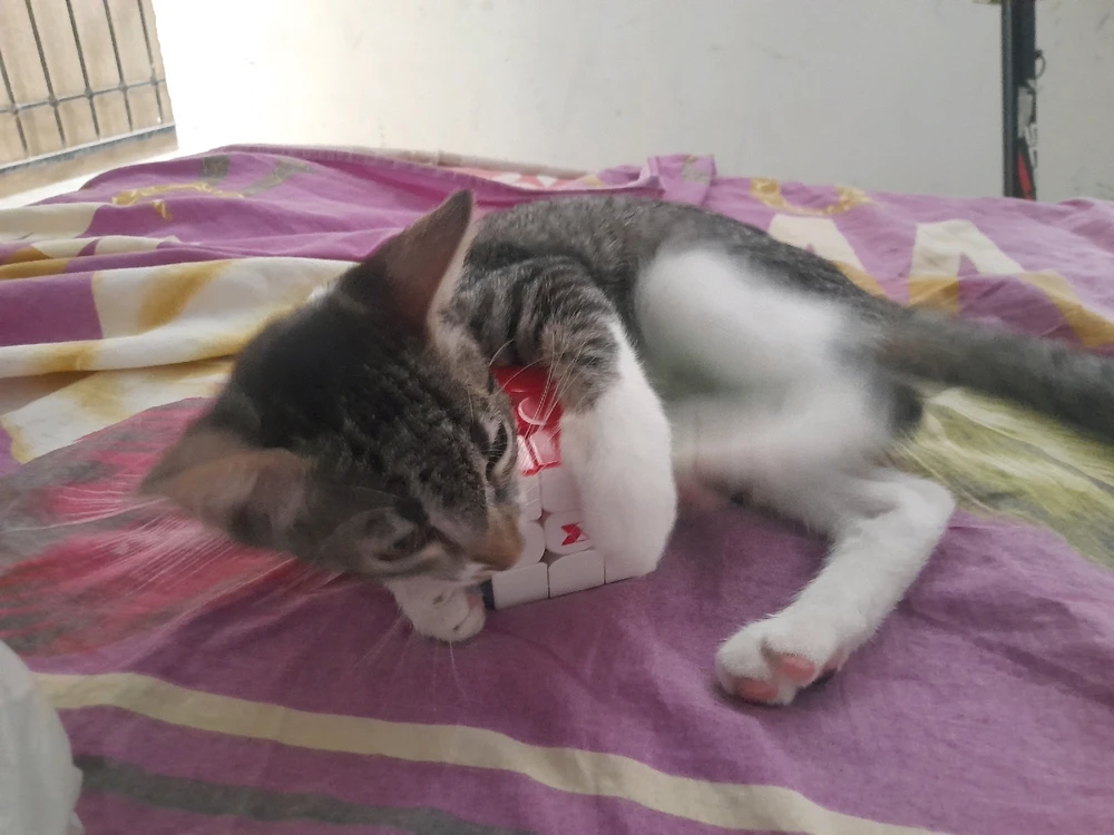 Imagen subida por Luisfer Ortiz