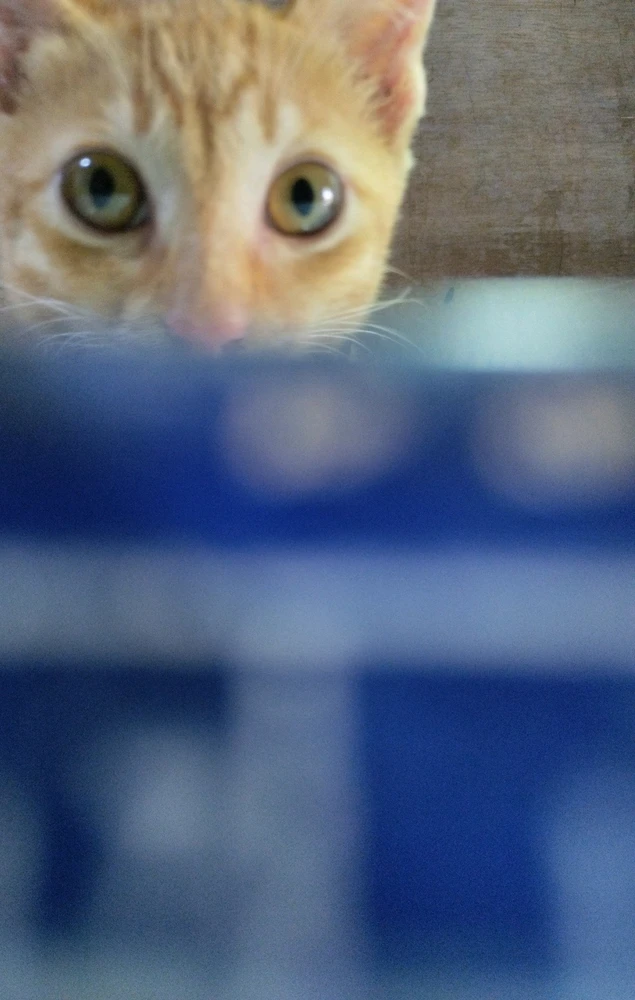 GIF uploaded by Hana