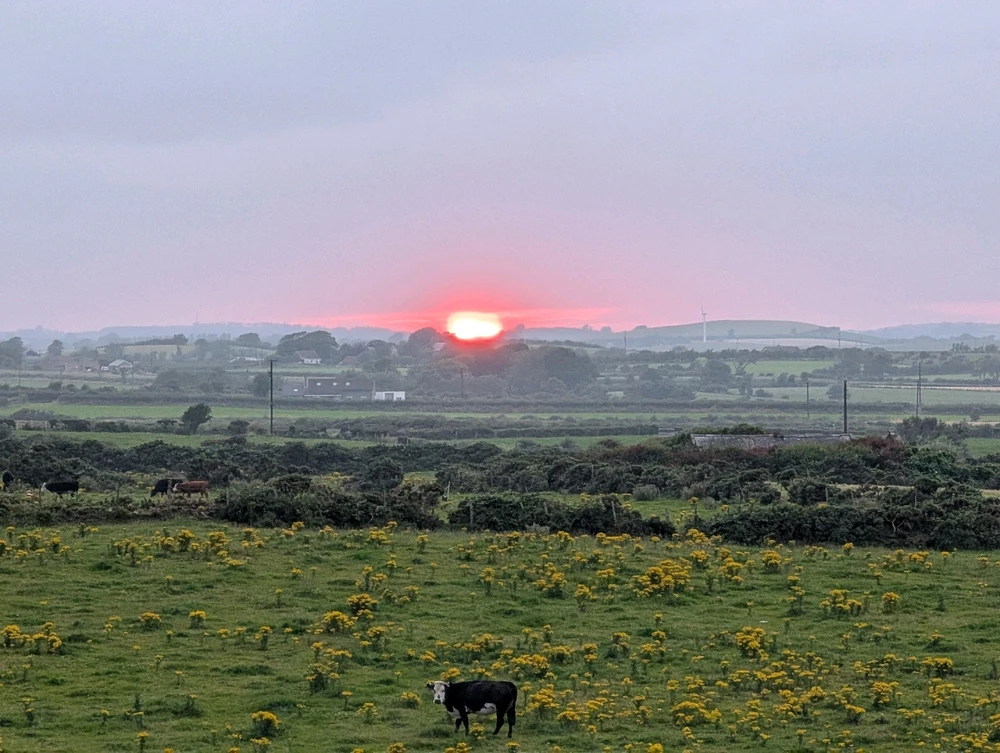 GIF uploaded by Ferghal