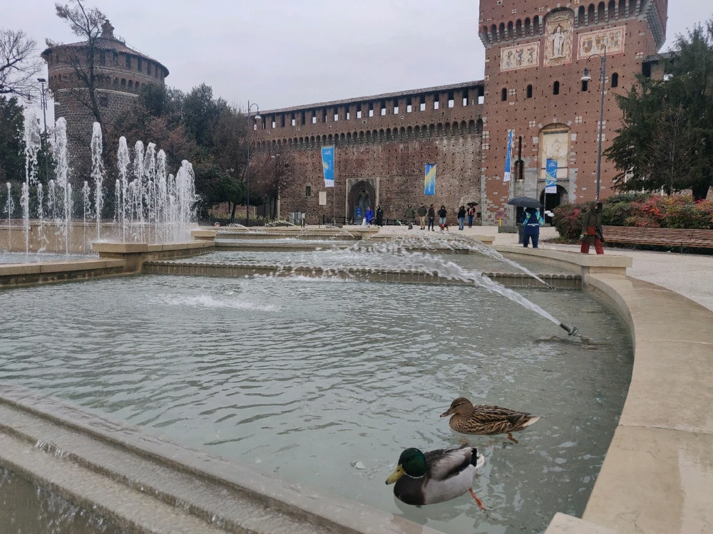 Immagine caricata da Andrea