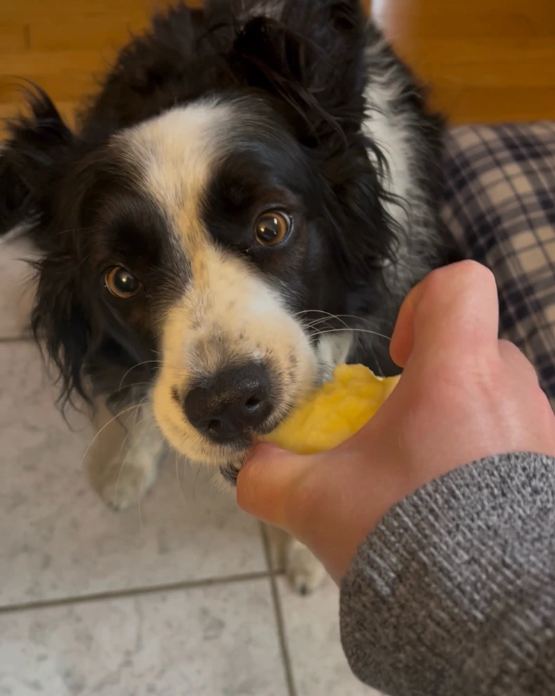 GIF uploaded by Bailey