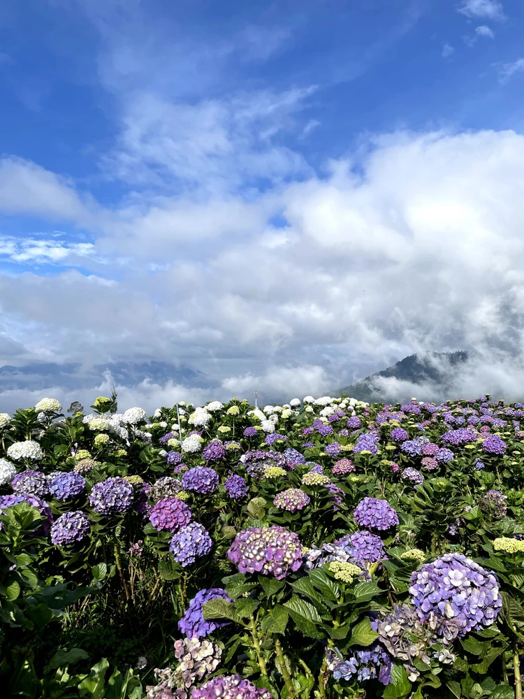 GIF uploaded by Riska