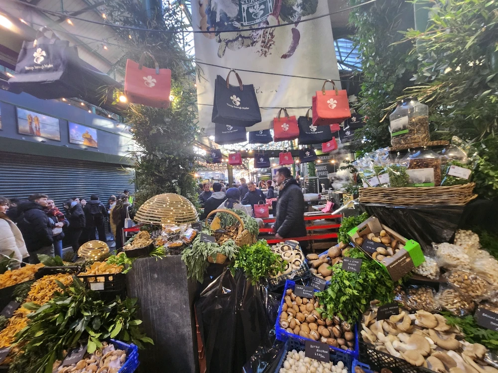 Gambar diunggah dening Sylvia