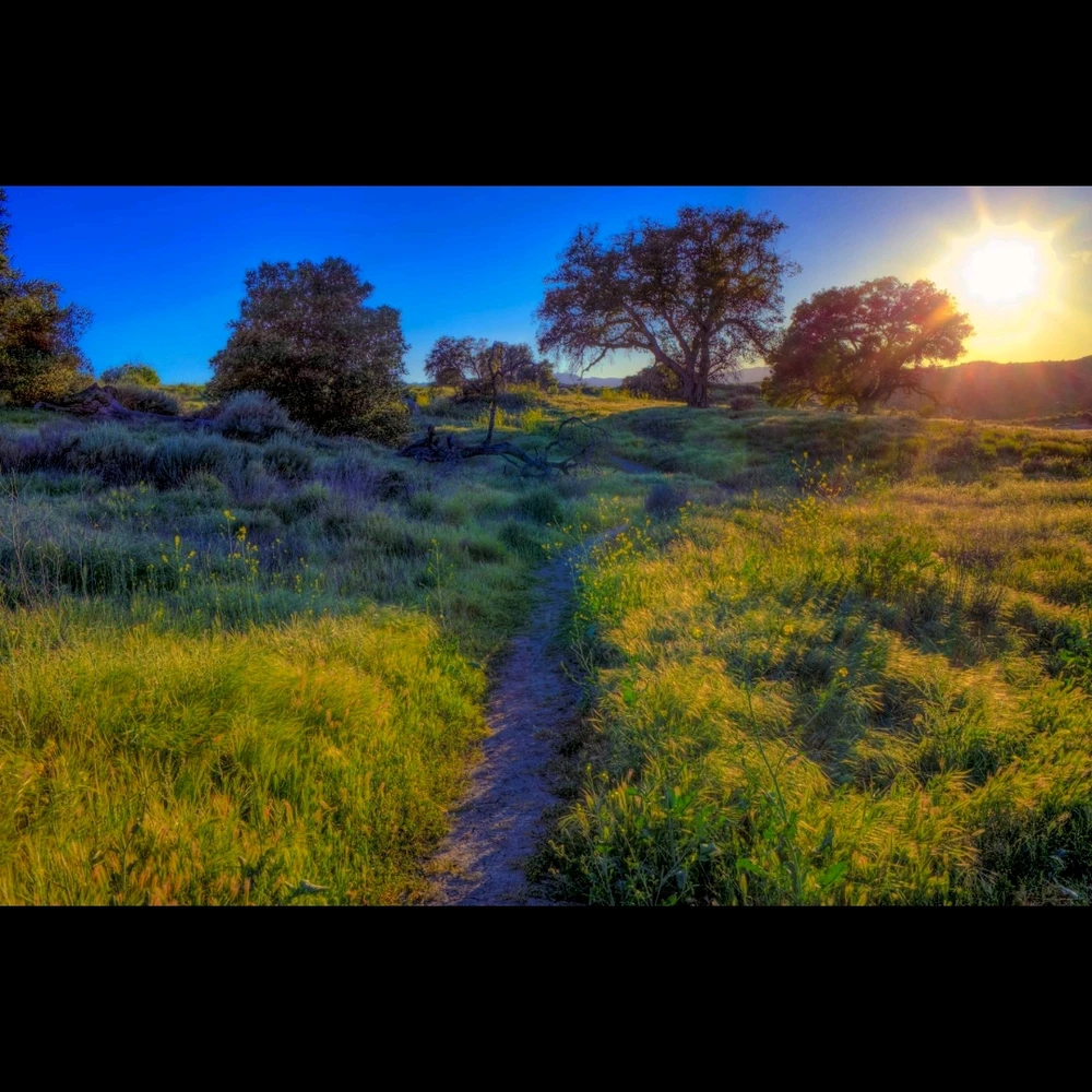 GIF uploaded by Charles