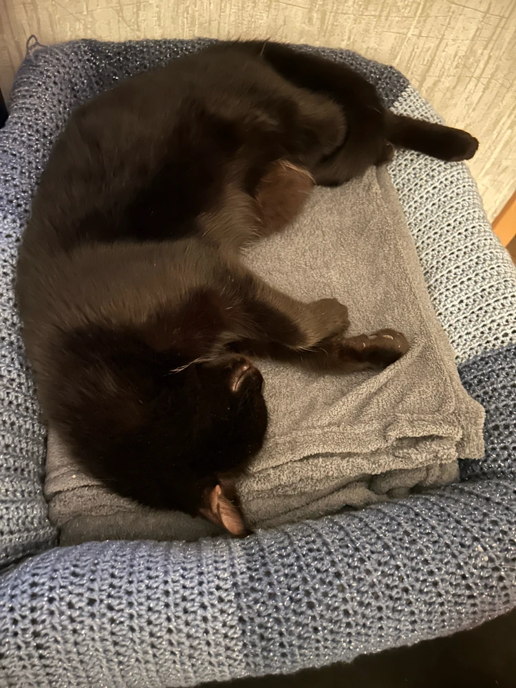 Bild hochgeladen von Lena