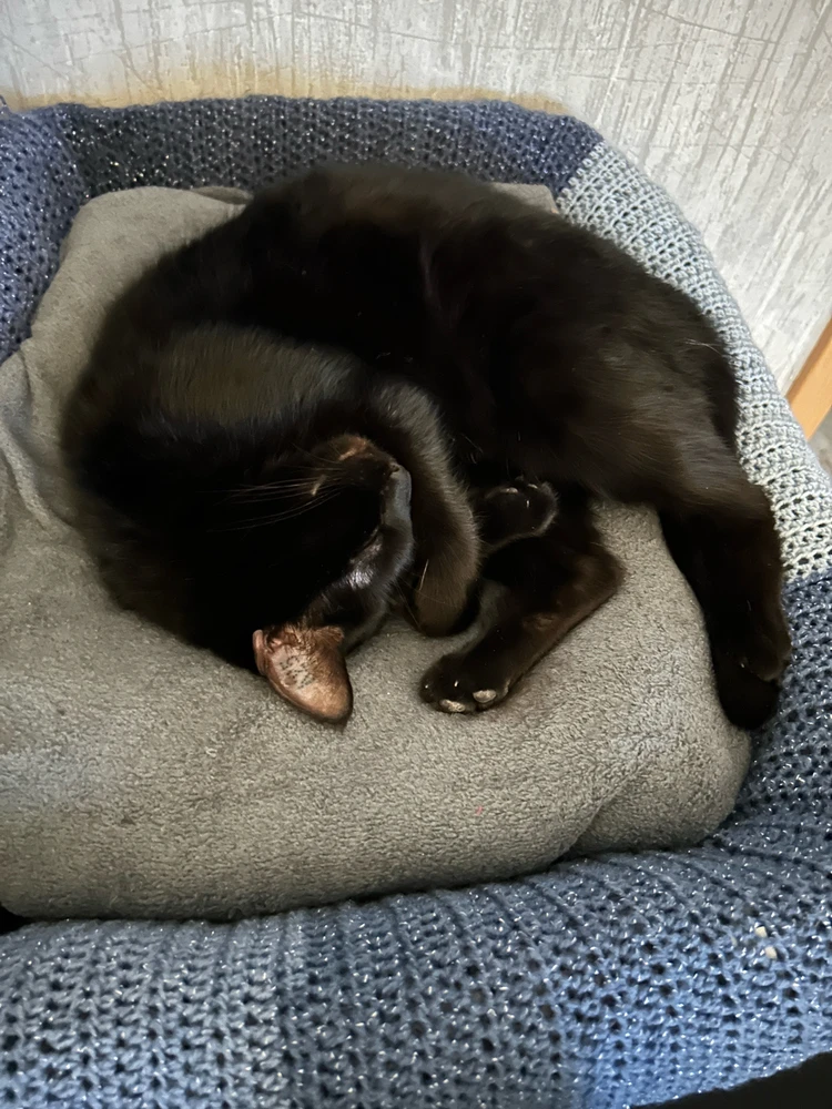 Bild hochgeladen von Lena