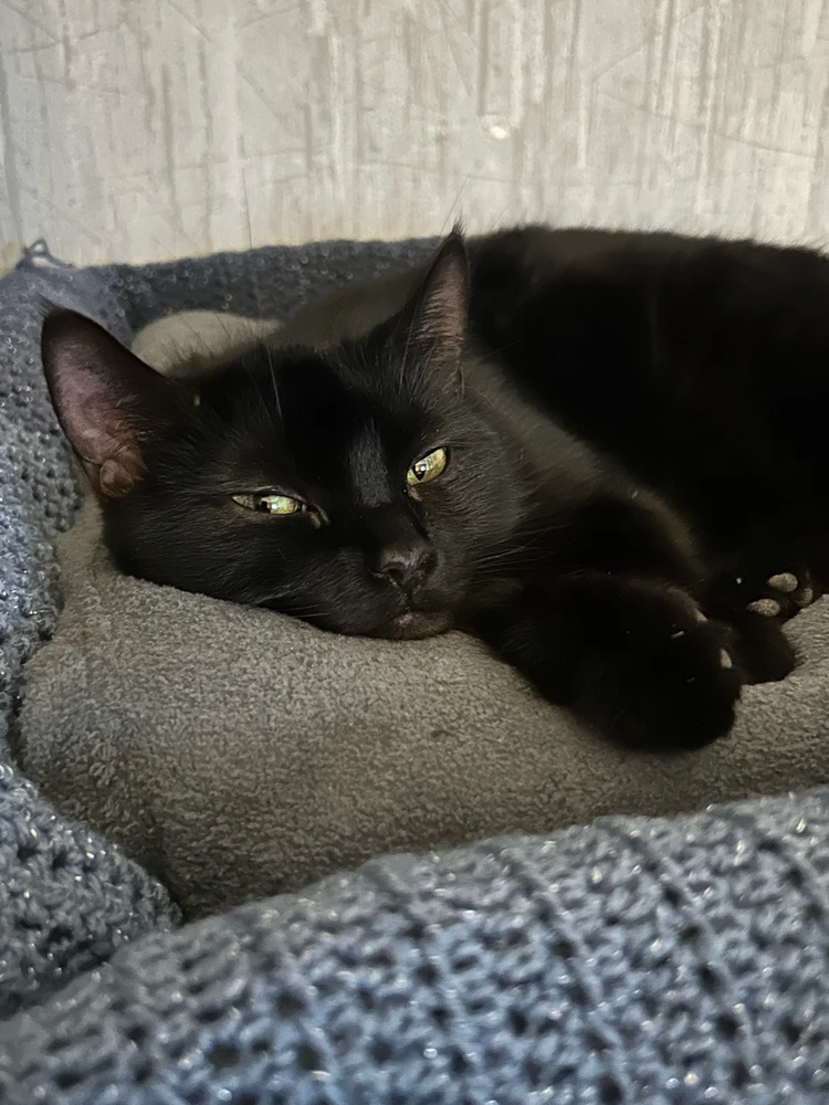 Bild hochgeladen von Lena