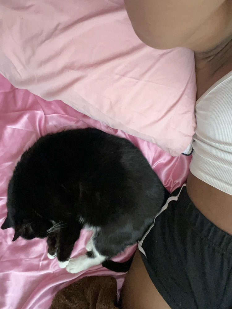 GIF uploaded by Sage