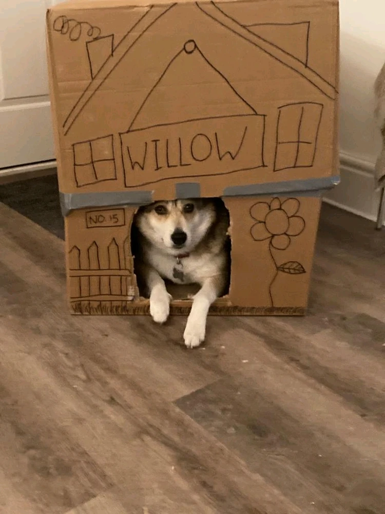 GIF uploaded by Dean