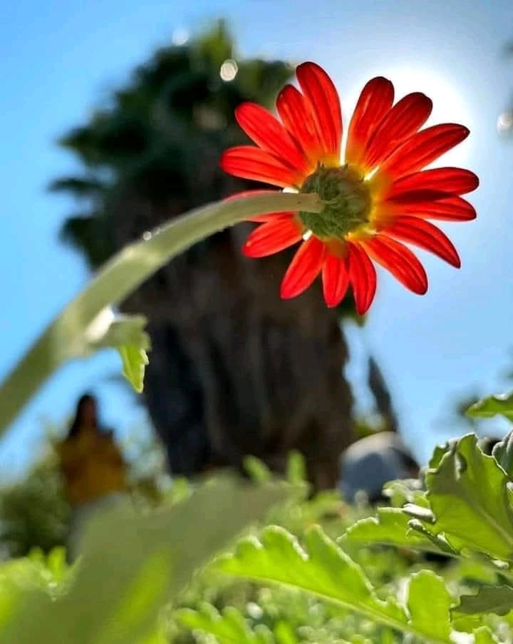 GIF dodany przez Ula