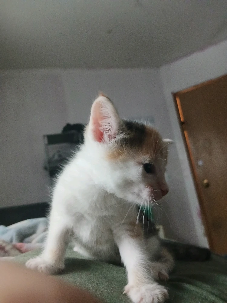 GIF uploaded by Paul Morgan