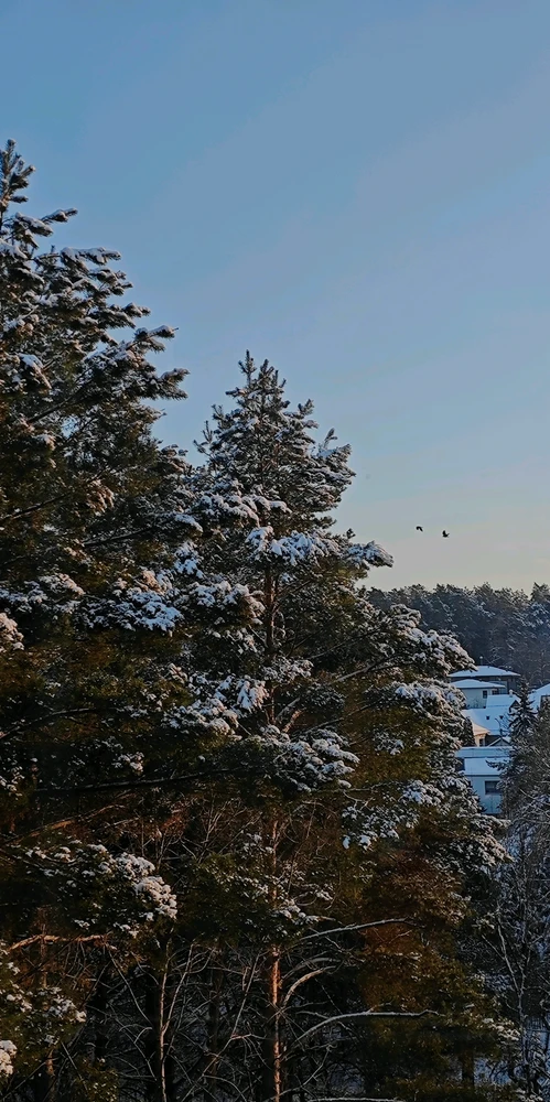 GIF įkėlė Karolina