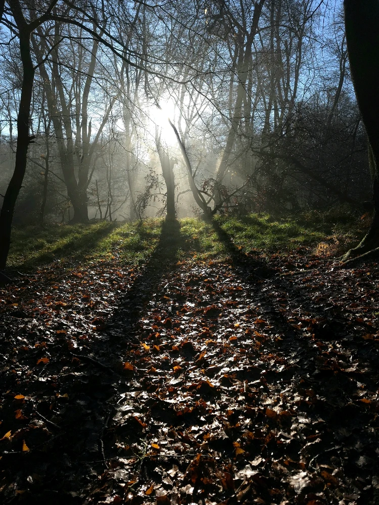 GIF uploaded by Sacha