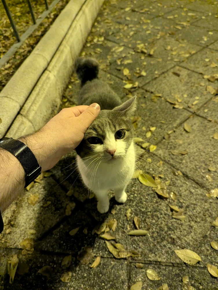 Image uploaded by Jakub