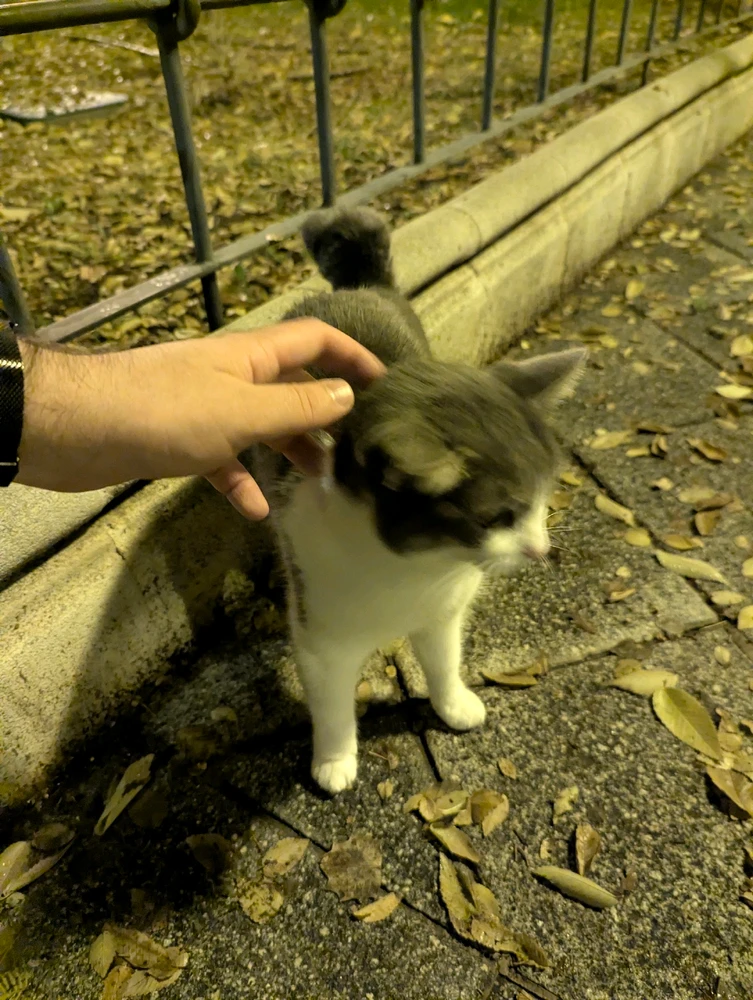 Image uploaded by Jakub