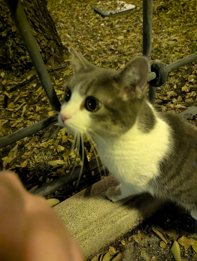 Image uploaded by Jakub